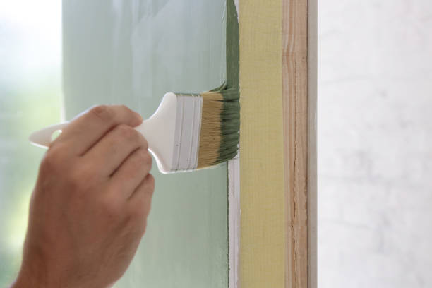 Best Basement Mold Removal  in Bonita, CA
