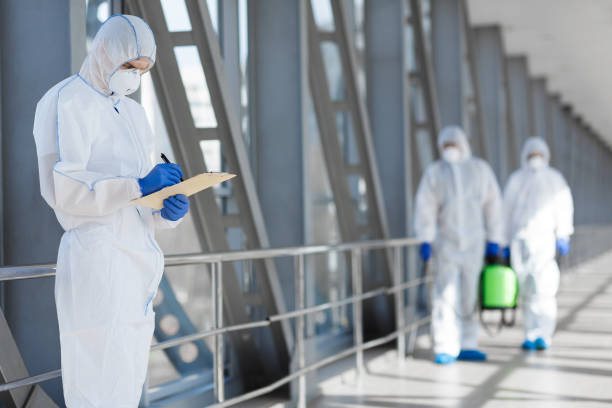 Best Mold Documentation for Insurance Claims  in Bonita, CA