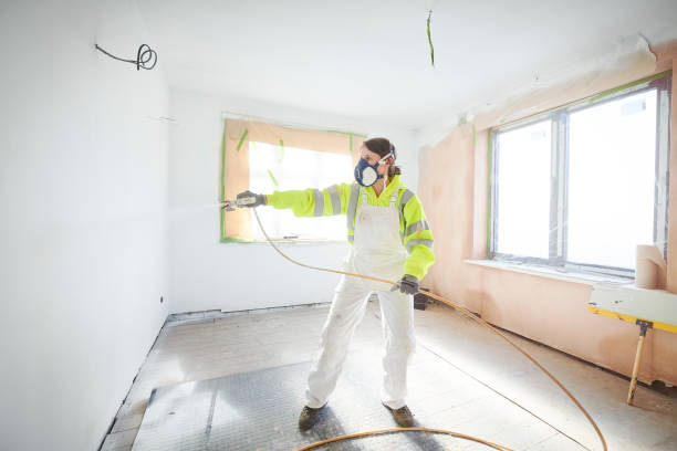 Best Mold Removal for HVAC Installations  in Bonita, CA