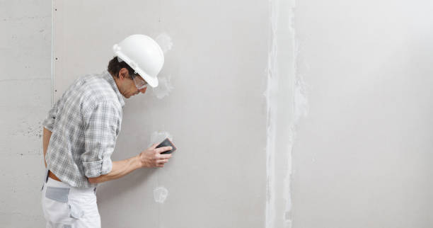 Best Mold Damage Restoration  in Bonita, CA