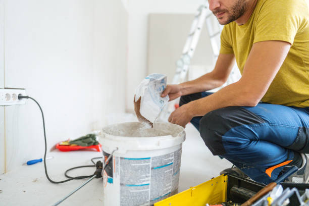 Professional Mold Removal in Bonita, CA