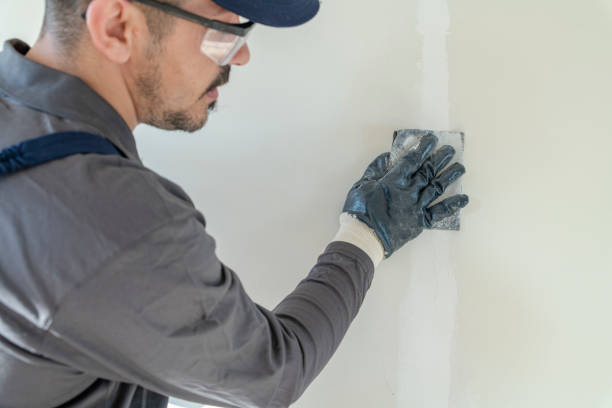 Best Emergency Mold Remediation  in Bonita, CA