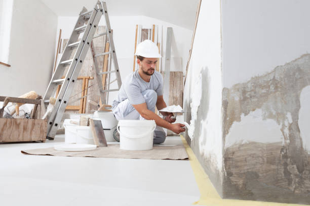 Best Crawl Space Mold Remediation  in Bonita, CA