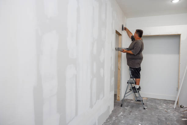 Best Airborne Mold Testing  in Bonita, CA