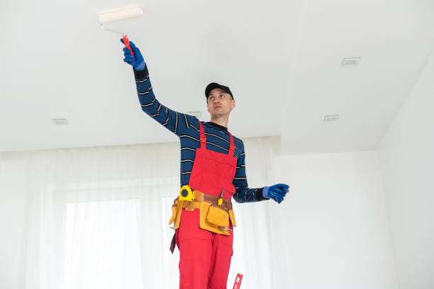 Best Mold-Related Health Consultation  in Bonita, CA